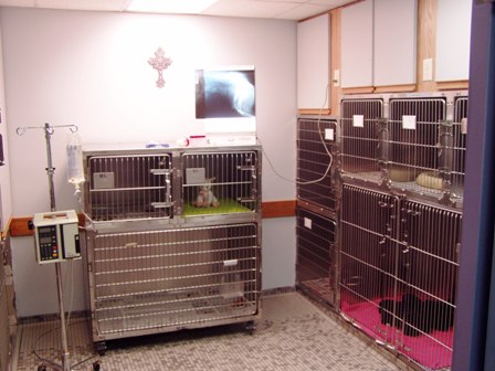 Hospital Ward